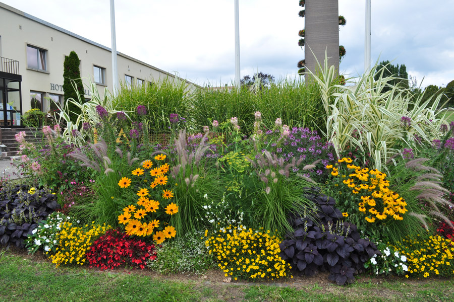 Fleurissement devant l'hôtel de ville