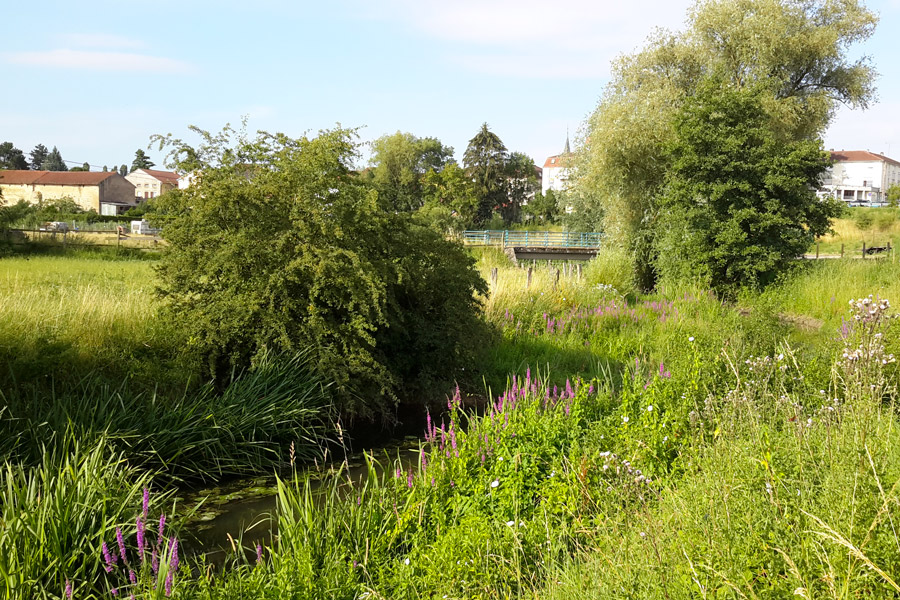 La Nied Allemande rue de Pontpierre