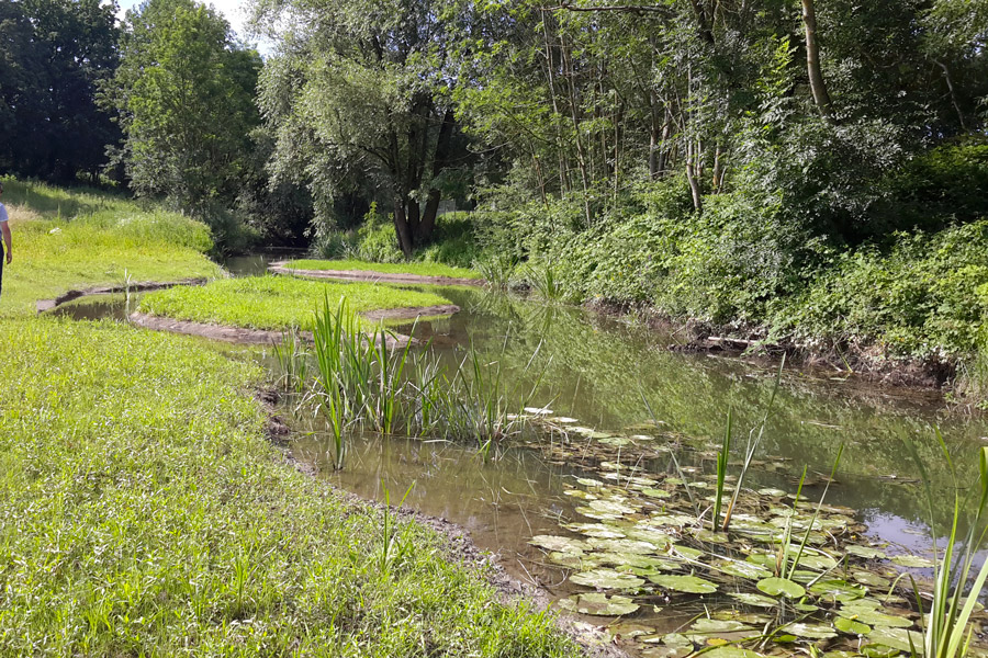 La Nied rue de Pont à Mousson